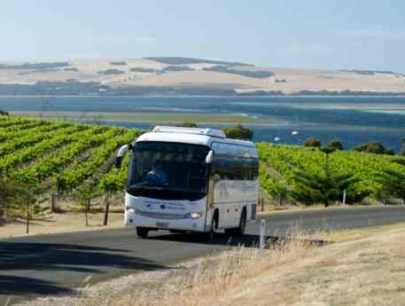 sewa bus pariwisata